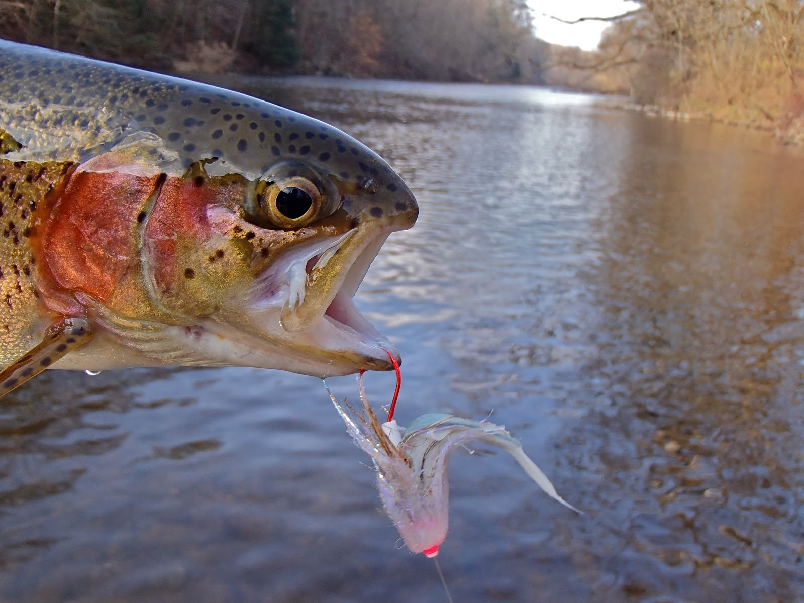 All Things Fly Fishing Tube Flies Advantage