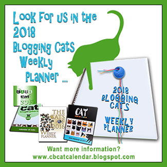 2018 Blogging Cats Calendar