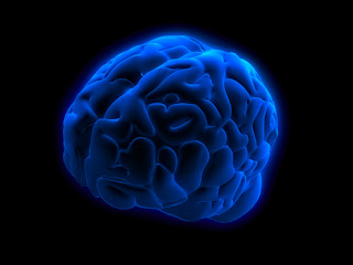 Εγκέφαλος και συνείδηση