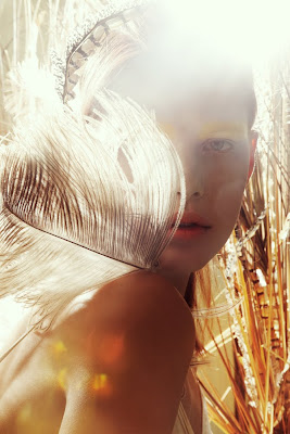 woman in backlit sun field, beauty photographer nyc