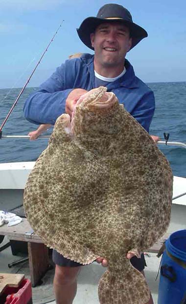 giant flat fish giant flat fish