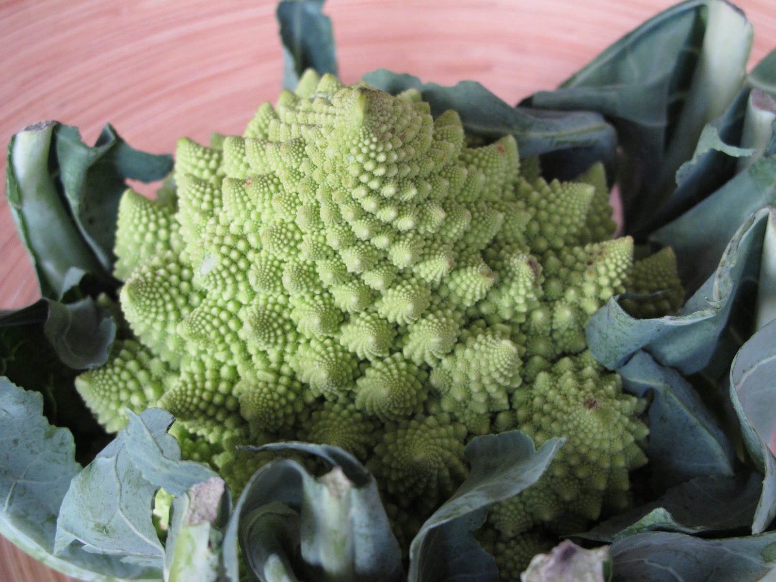 Margot's Kitchen Romanesco Broccoli or Roman Cauliflower?