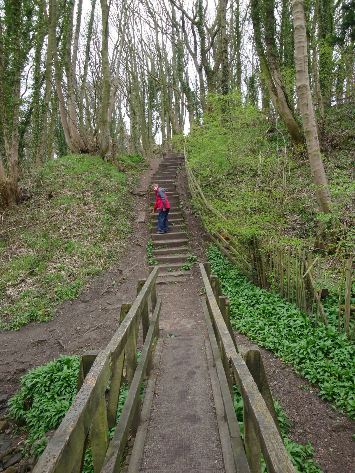 Maghull Meanders Avoided the rain. Appley Bridge