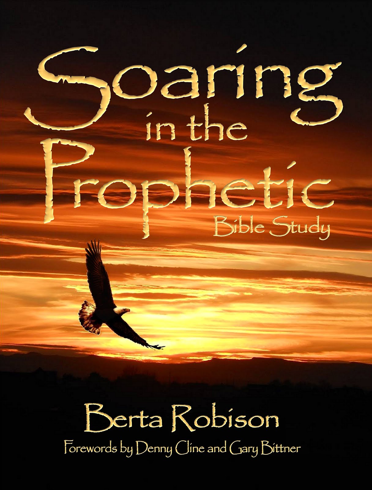 Soaring in the Prophetic: Bible Study
