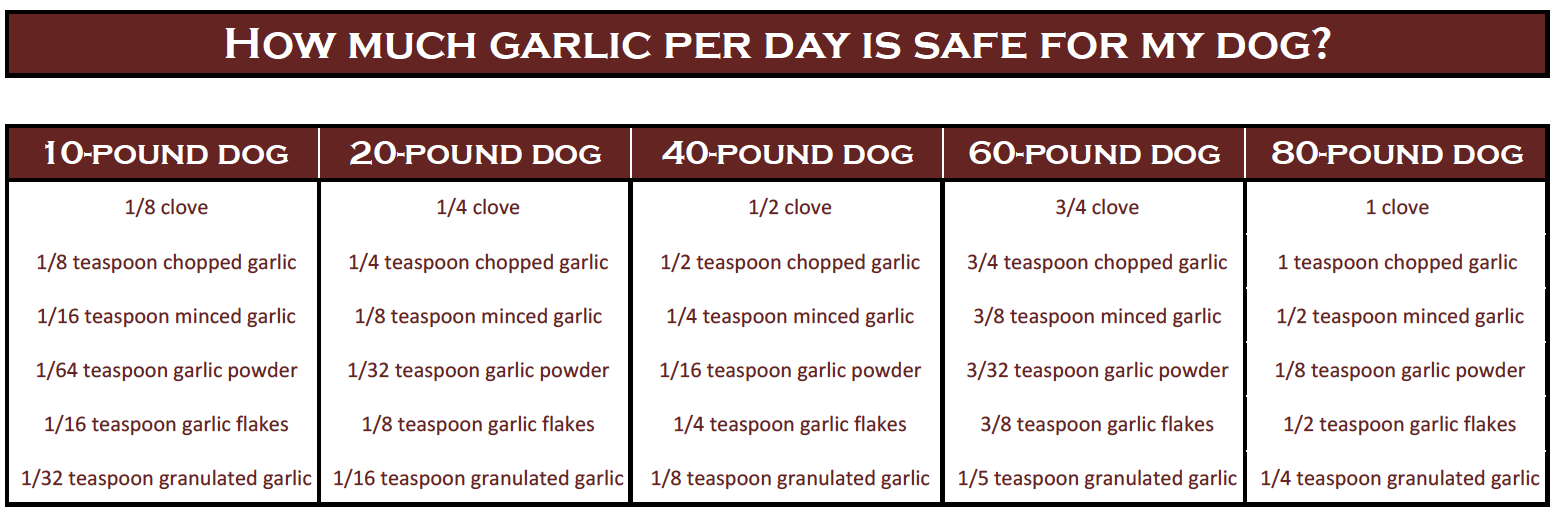 What Are The Benefits Of Garlic For Dogs