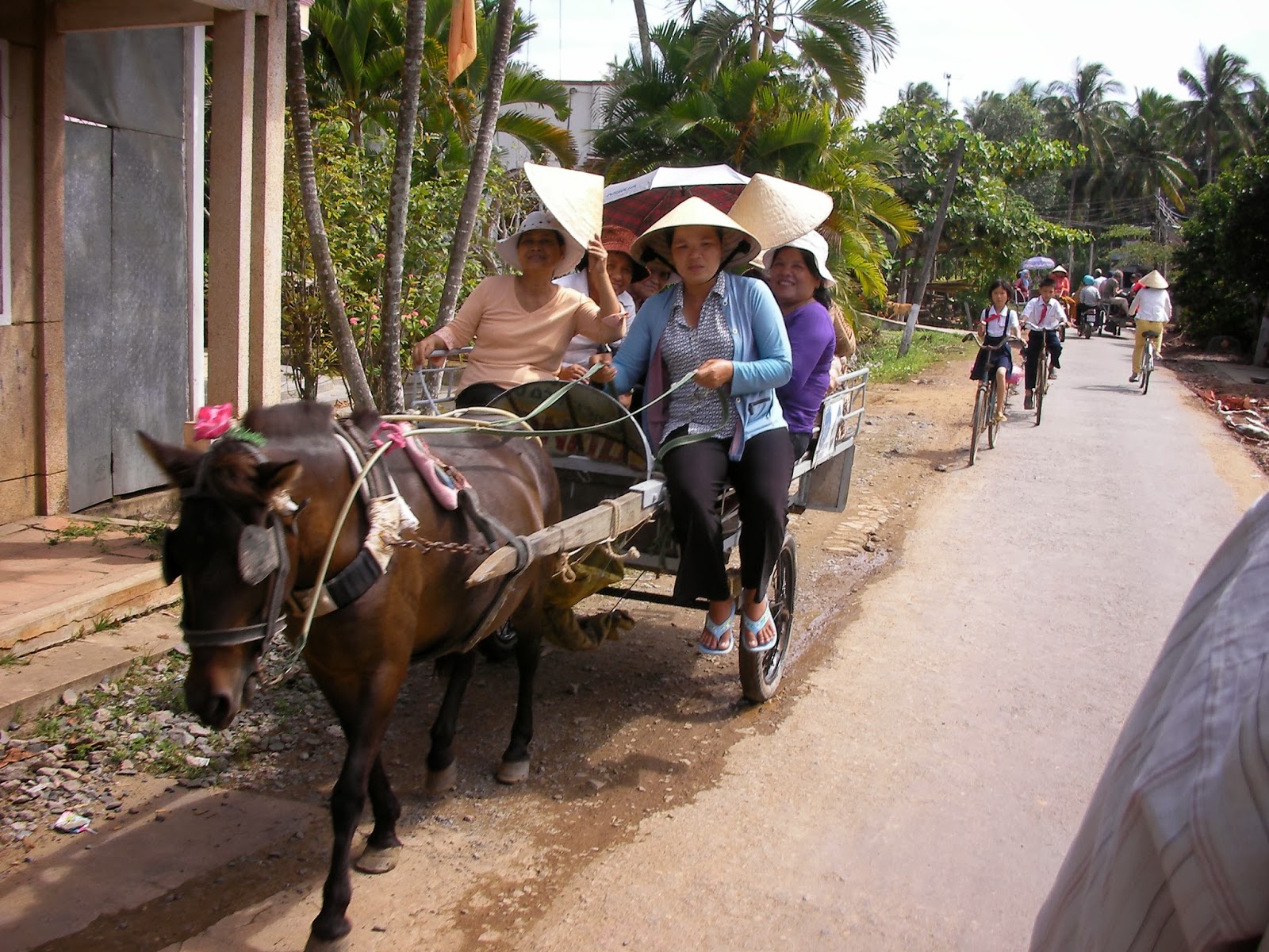 SG Young Investment South Vietnam An affordable and exotic travel