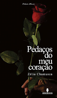 PEDAÇOS DO MEU CORAÇÃO