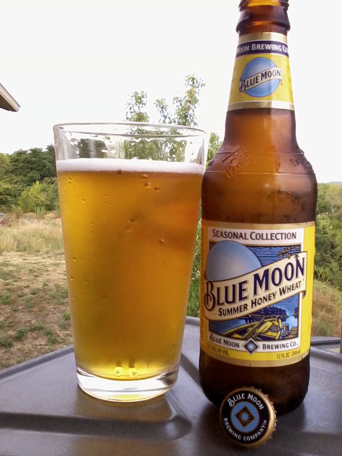 Image result for blue moon honey wheat