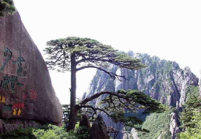 10 tempat wisata alam di China