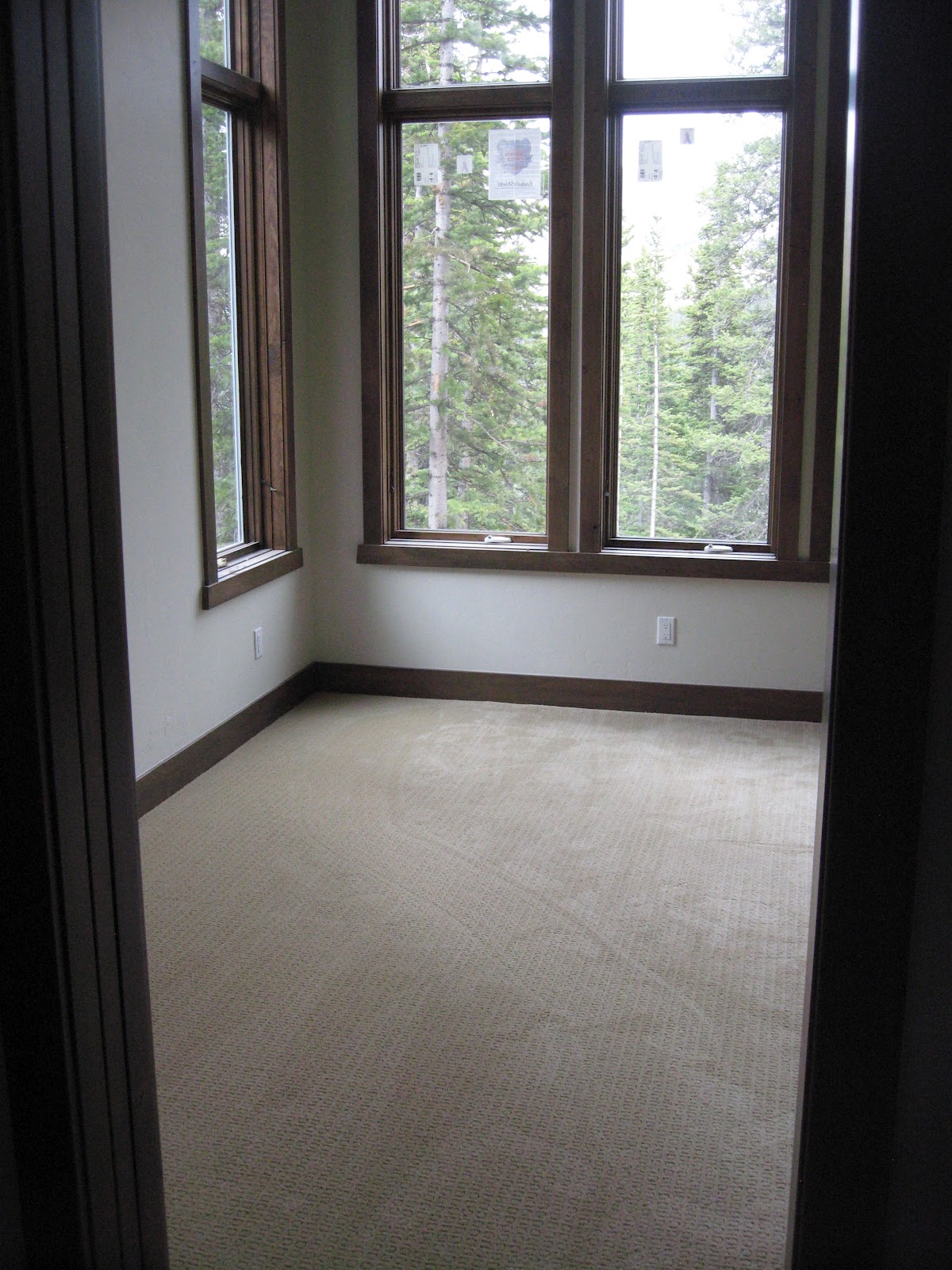 Building our Mountain Cabin But does the carpet match the drapes?