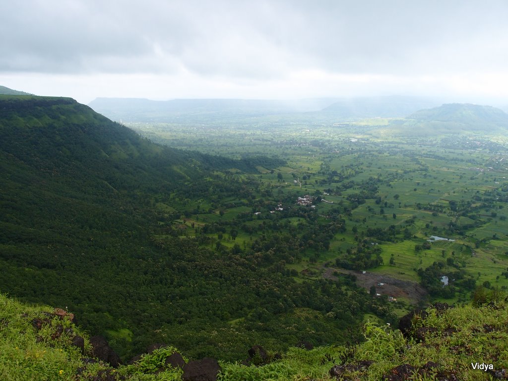 Travel Notes.. Kas Valley Satara Valley of flowers