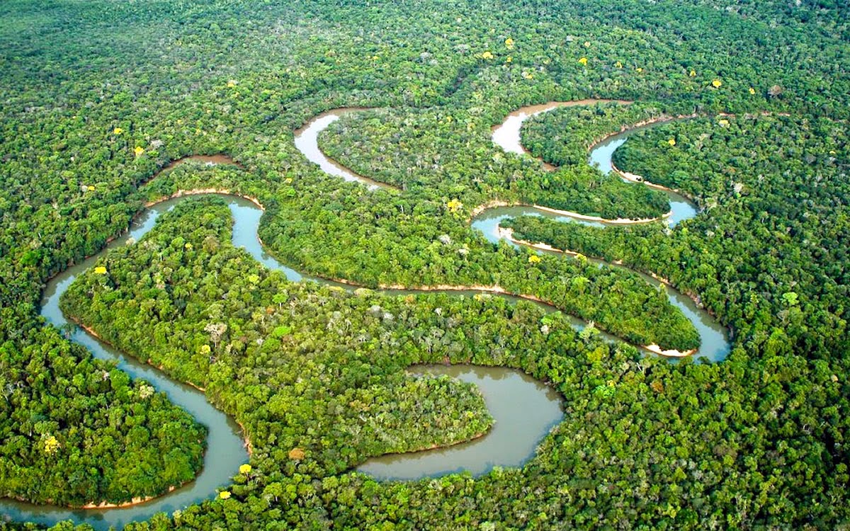 Resultado de imagem para imagens do rio amazonas