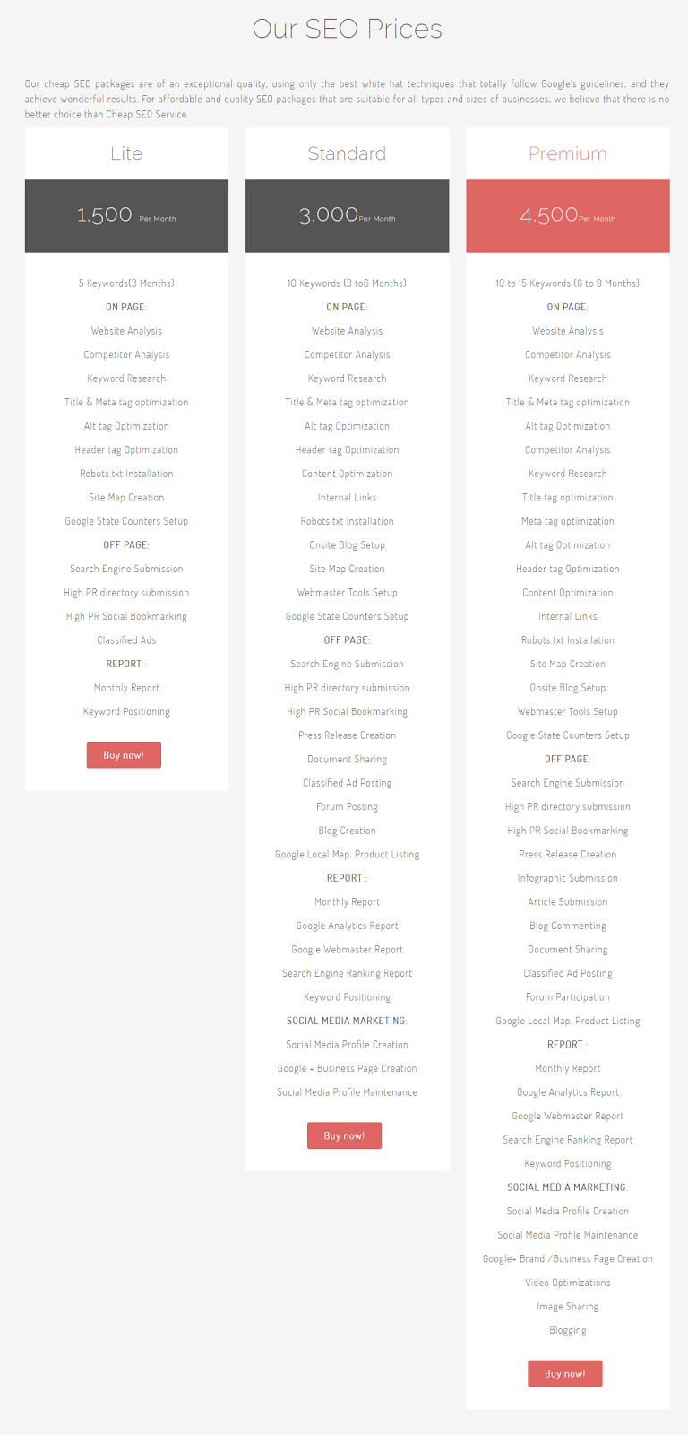seo packages