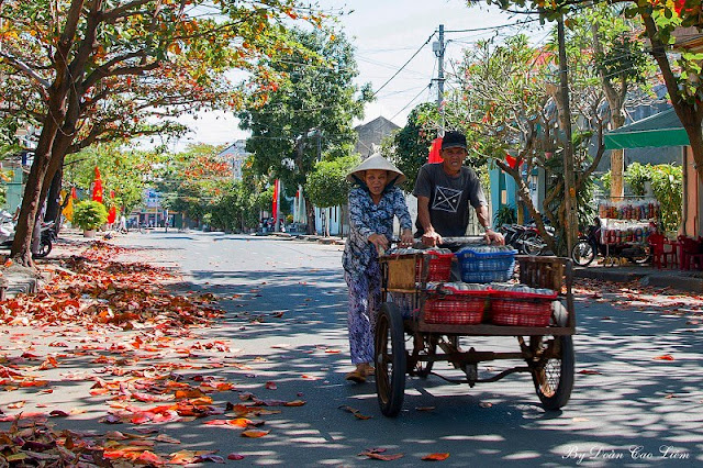 Những hình ảnh đẹp về Phú Yên, anh dep Phu Yen