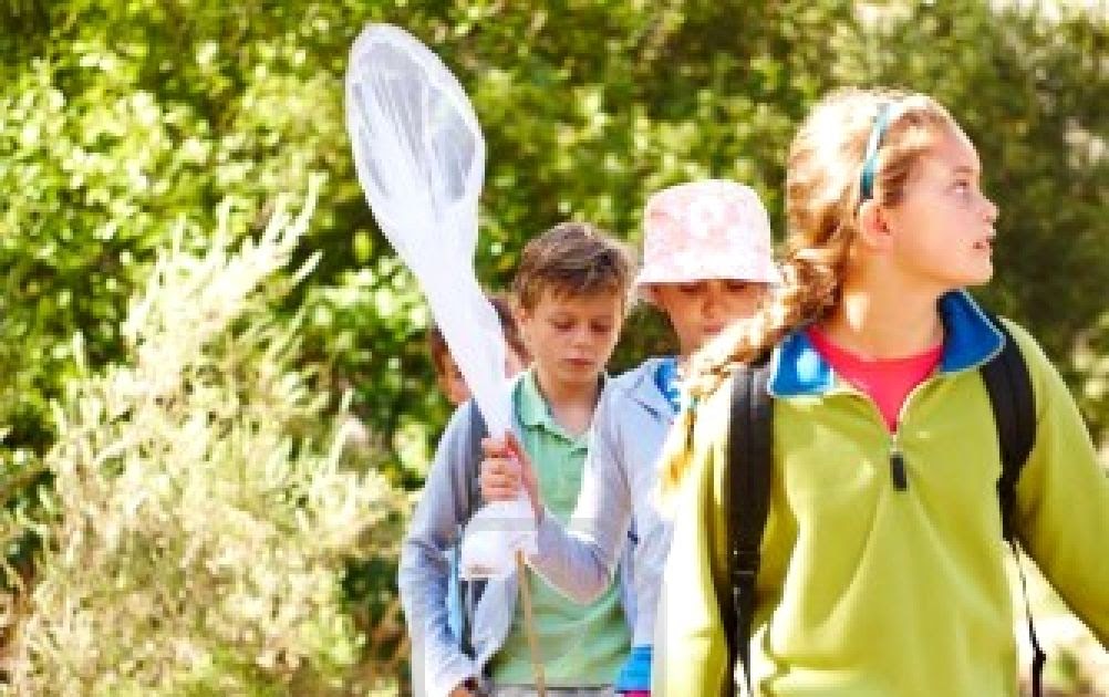 Appleseed Expeditions Tips for a Successful Middle School Field Trip