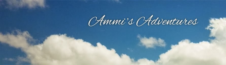Ammi's Adventures