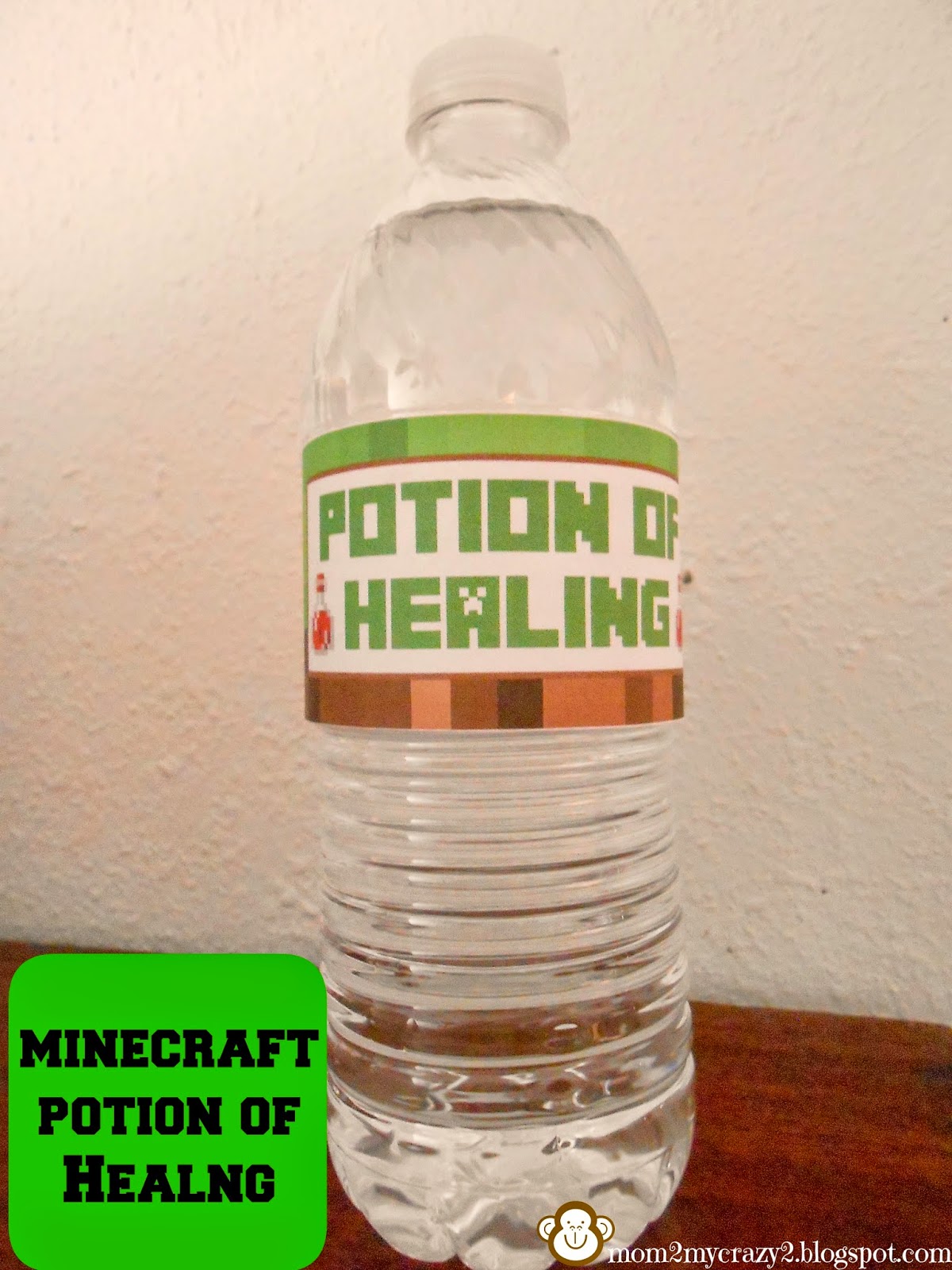 Running away? I'll help you pack.: Minecraft Birthday Party