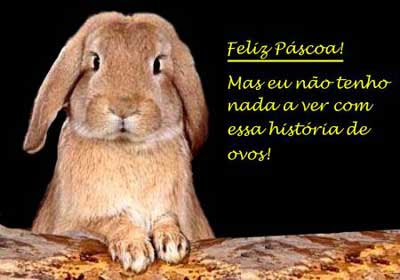 coelho_feliz_pascoa_WEB.jpg
