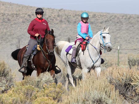 Merri Travels On Endurance Net