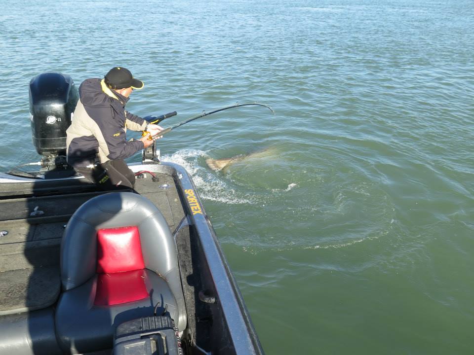 dino ferrari pescando