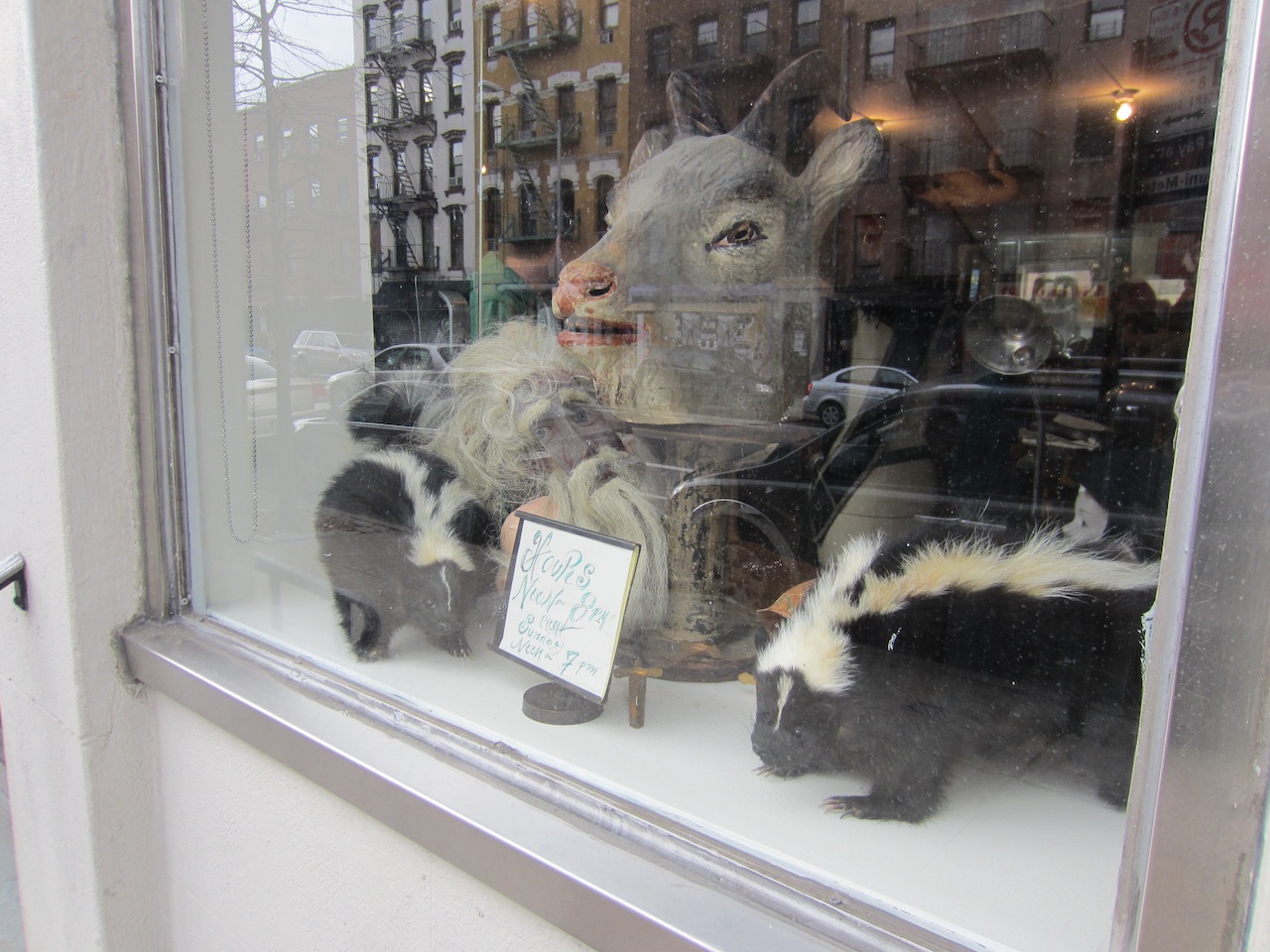 EV Grieve Obscura Antiques and Oddities now open on Avenue A