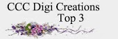 TOP 3 at CCC DIGI CREATIONS.