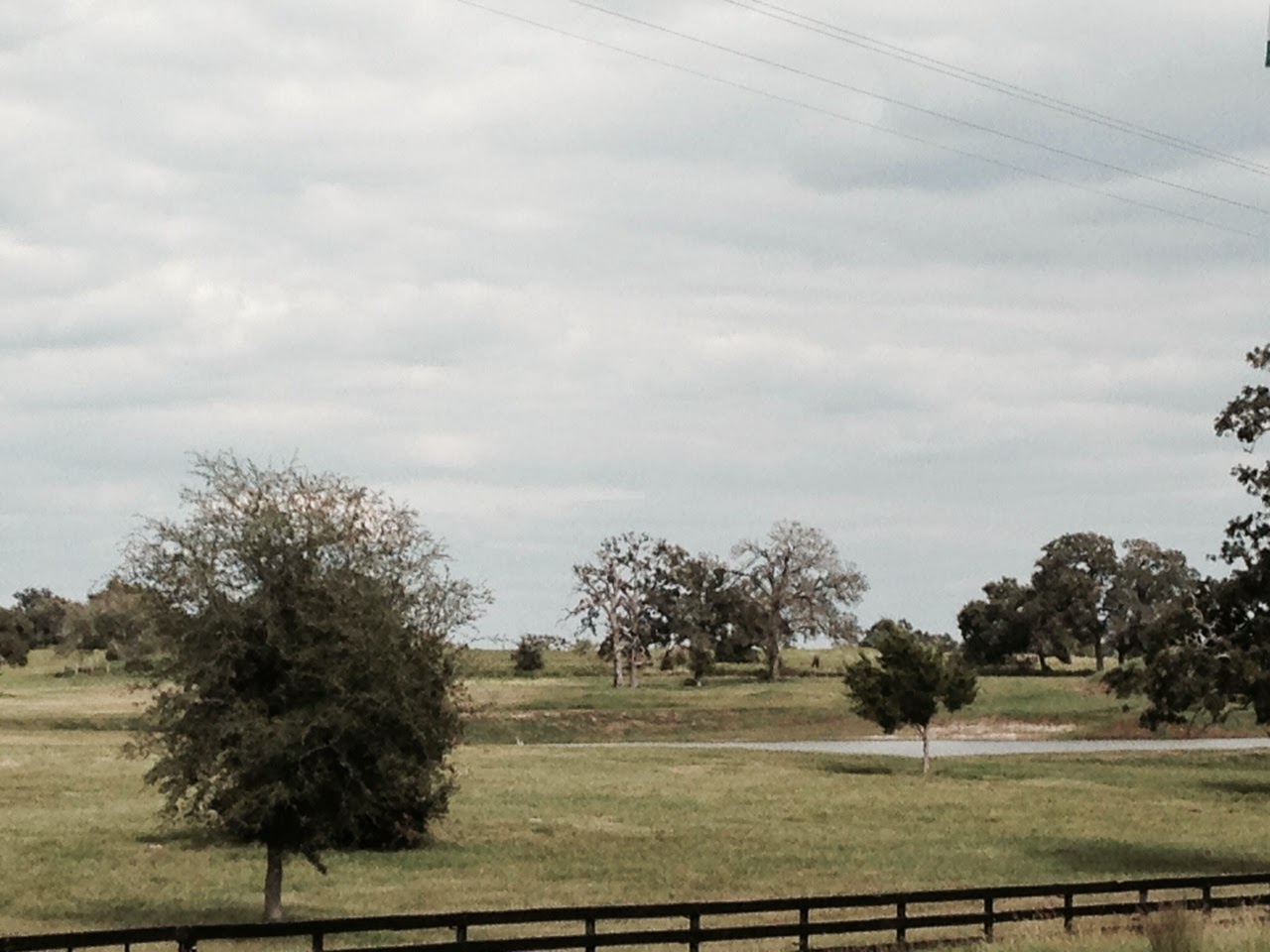 Texas Master Naturalist Brazos Valley Chapter Millican Reserve Market