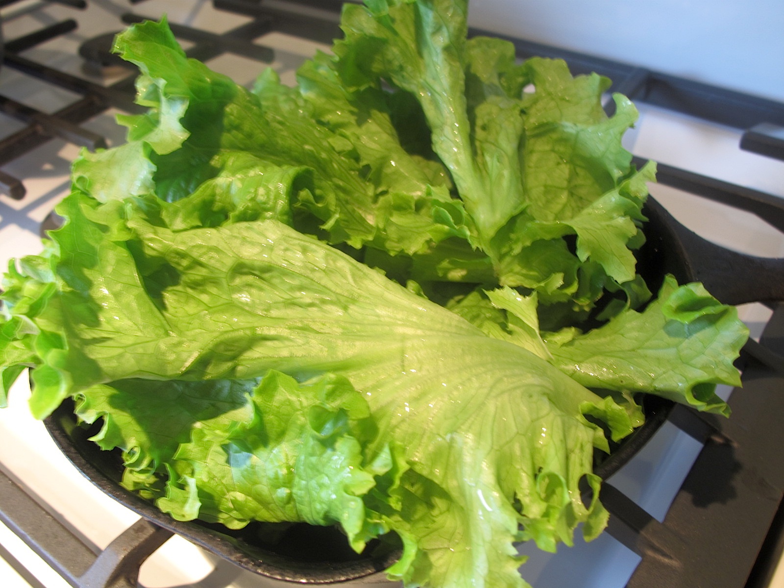 somerville kitchen What Is The Lettuce Doing In The Frying Pan?
