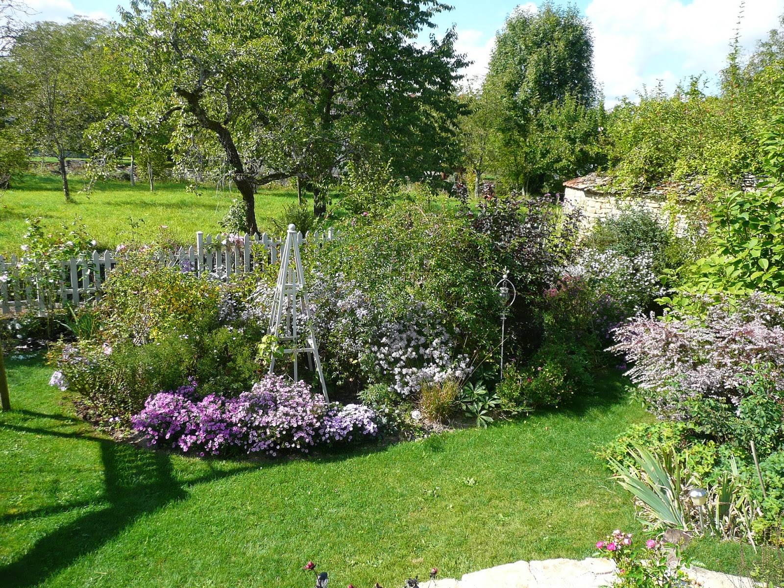 Weigela Carnaval Taille