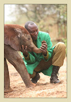 The David Sheldrick Wildlife Trust