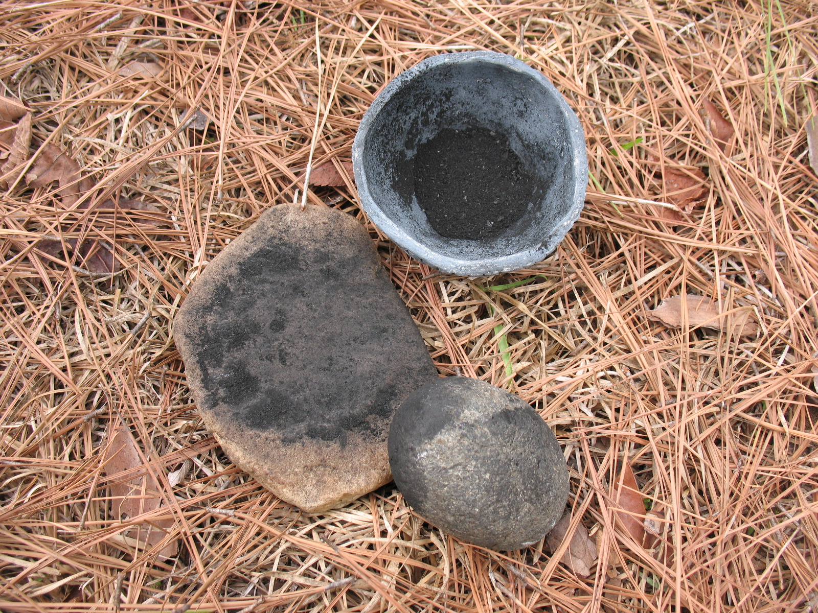 Sensible Survival How to Make Pine Pitch Glue