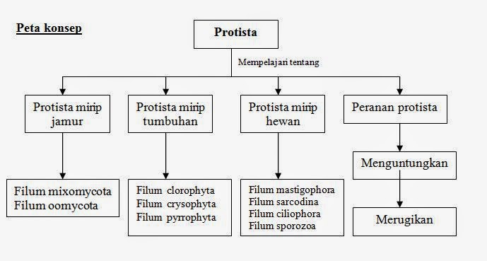 Peta Konsep Protista Pustaka Pandani