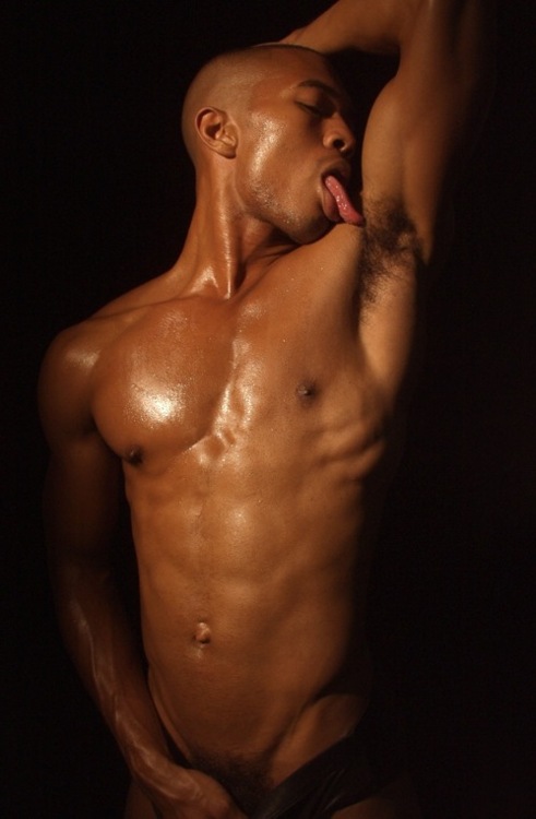 sean xavier sean xavier