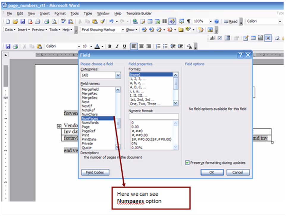 VijayaLakshmi Oracle Apps Zone Inserting Page Numbers in RTF xml report