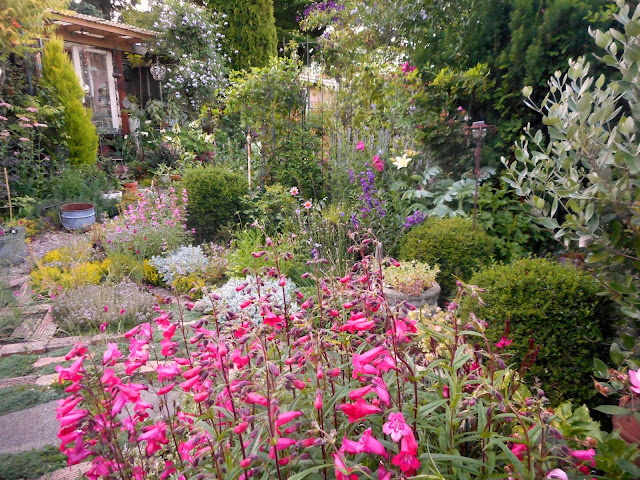 Willowbrook Park Scented Terrace Garden