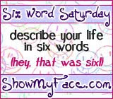 Six Word Saturday