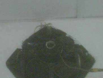 Day 1: Picture of the Day... - my fan in the toilet, note the little guest..