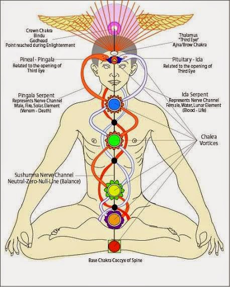 Teknik Meditasi Kontemporer Alur 3 Ida Pingala Aktivasi Chakra