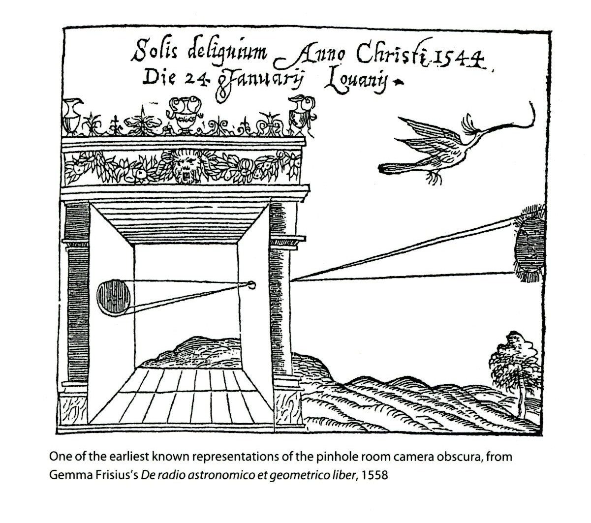 Animus Project David Hockney Secret Knowledge A History of Optics