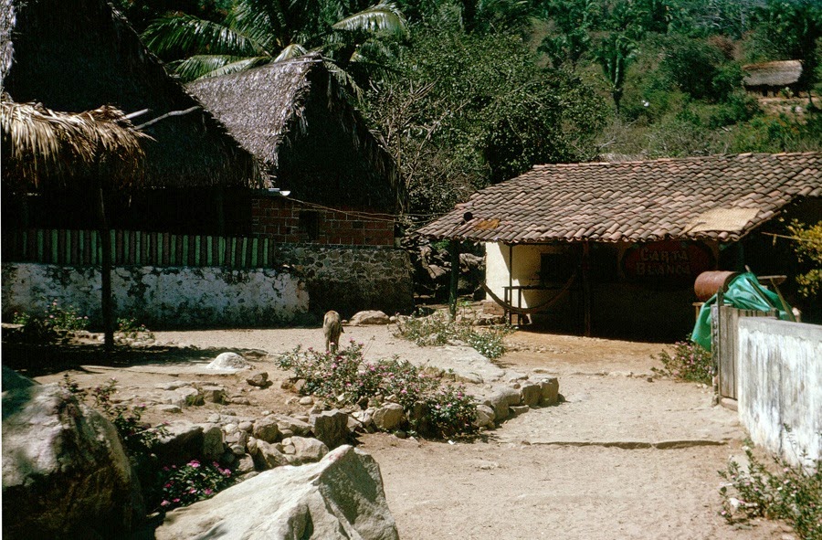 Palapas 1964