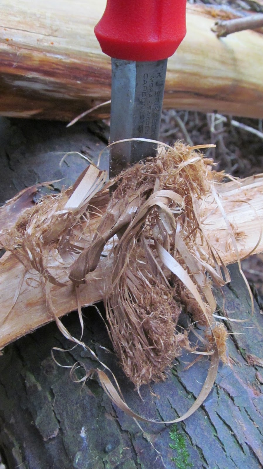 BUZZARD BUSHCRAFT Cedar Fire in Wet Weather
