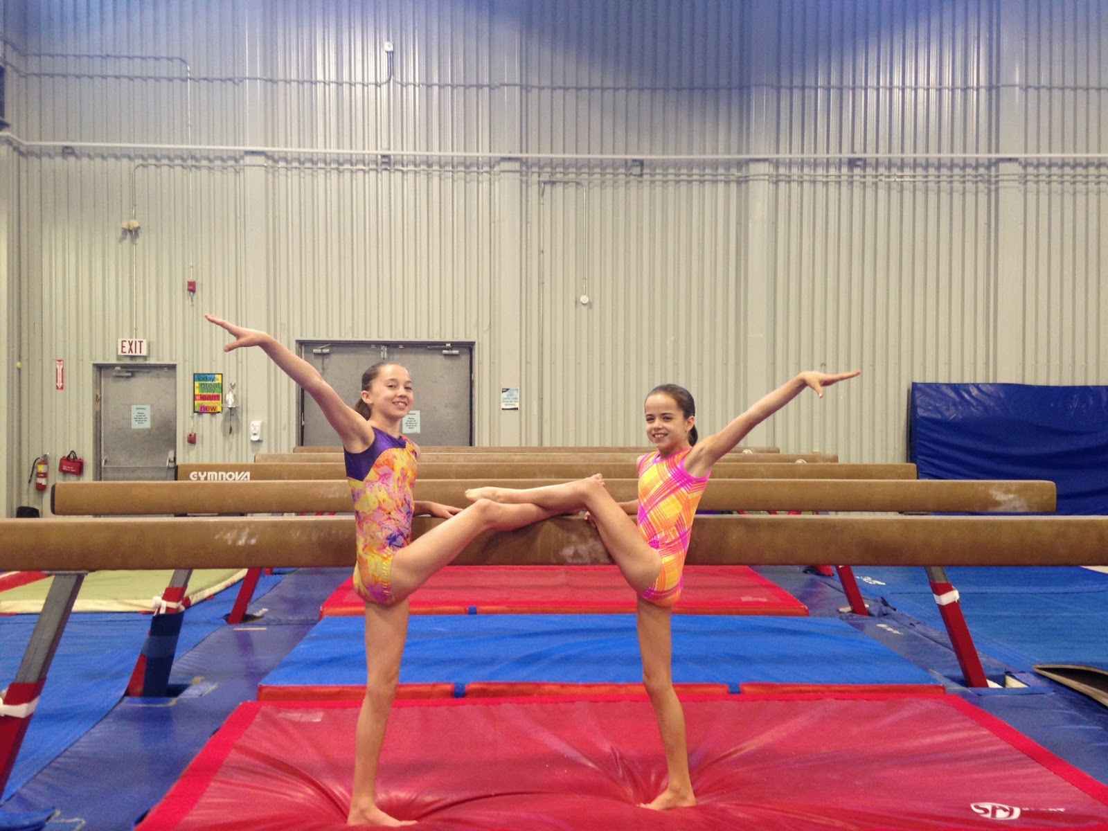 Tumblers Gymnastics Centre's Women's Program Blog 2014