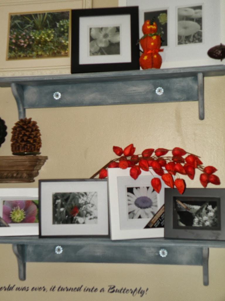 Winged Musings Pine Wall Shelves Upcycled with AS Chalk Paint