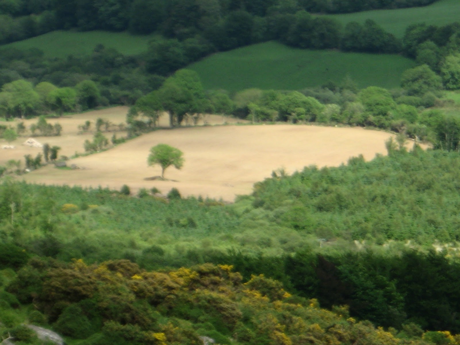 Niamh Boyce comeragh mountain walk