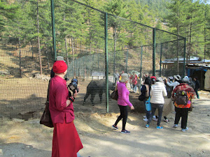 Tourists at the Takin zoo in Thimphu.