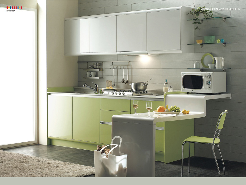 minimalist kitchen design ~ Home Design Interior