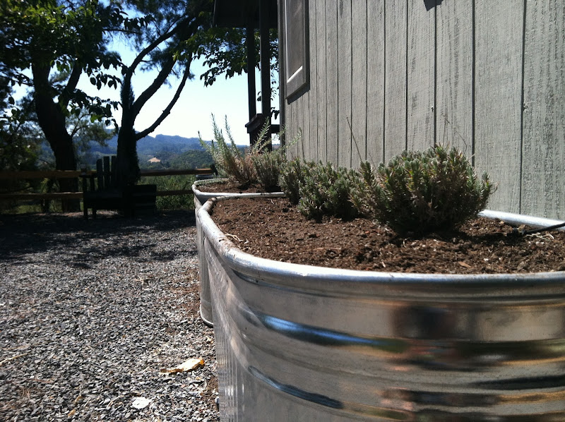 design My Galvanized Water Trough Raised Bed Garden