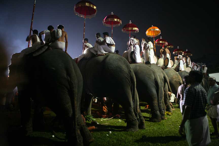 What's the Story? Shiva Temple Festival Ernakulam