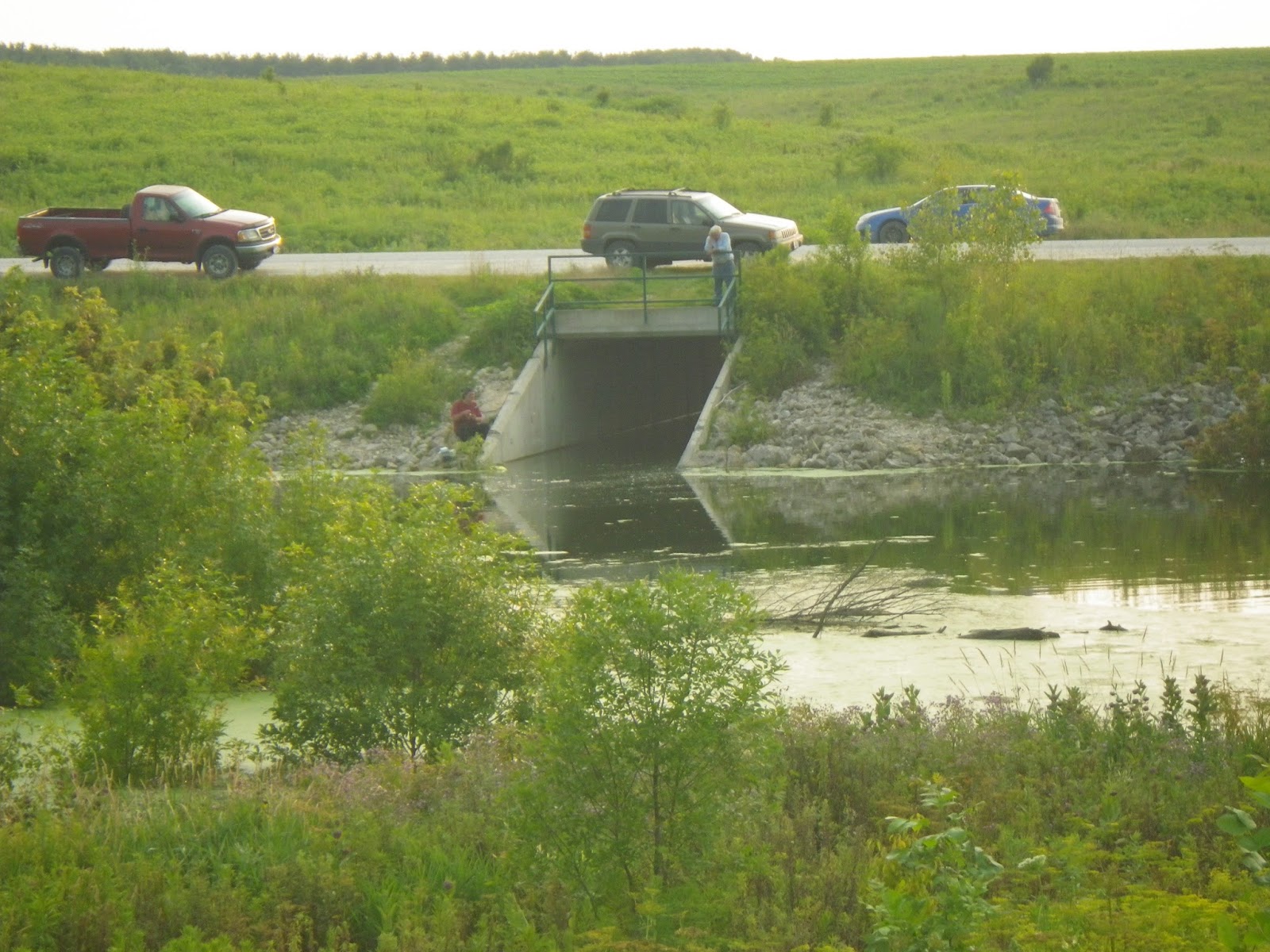 The Lost Grove Lake Mapping Project