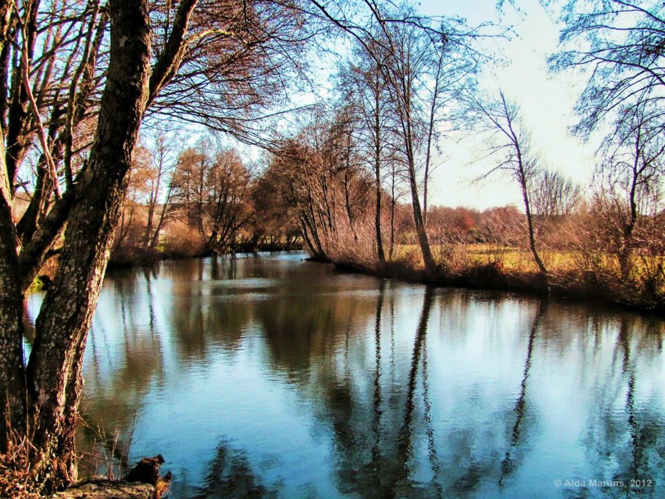 O Bicheiro - Resultados do Jogo do Bicho